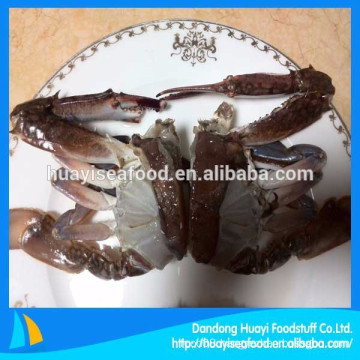 supply kinds of frozen fresh cutting crab low price